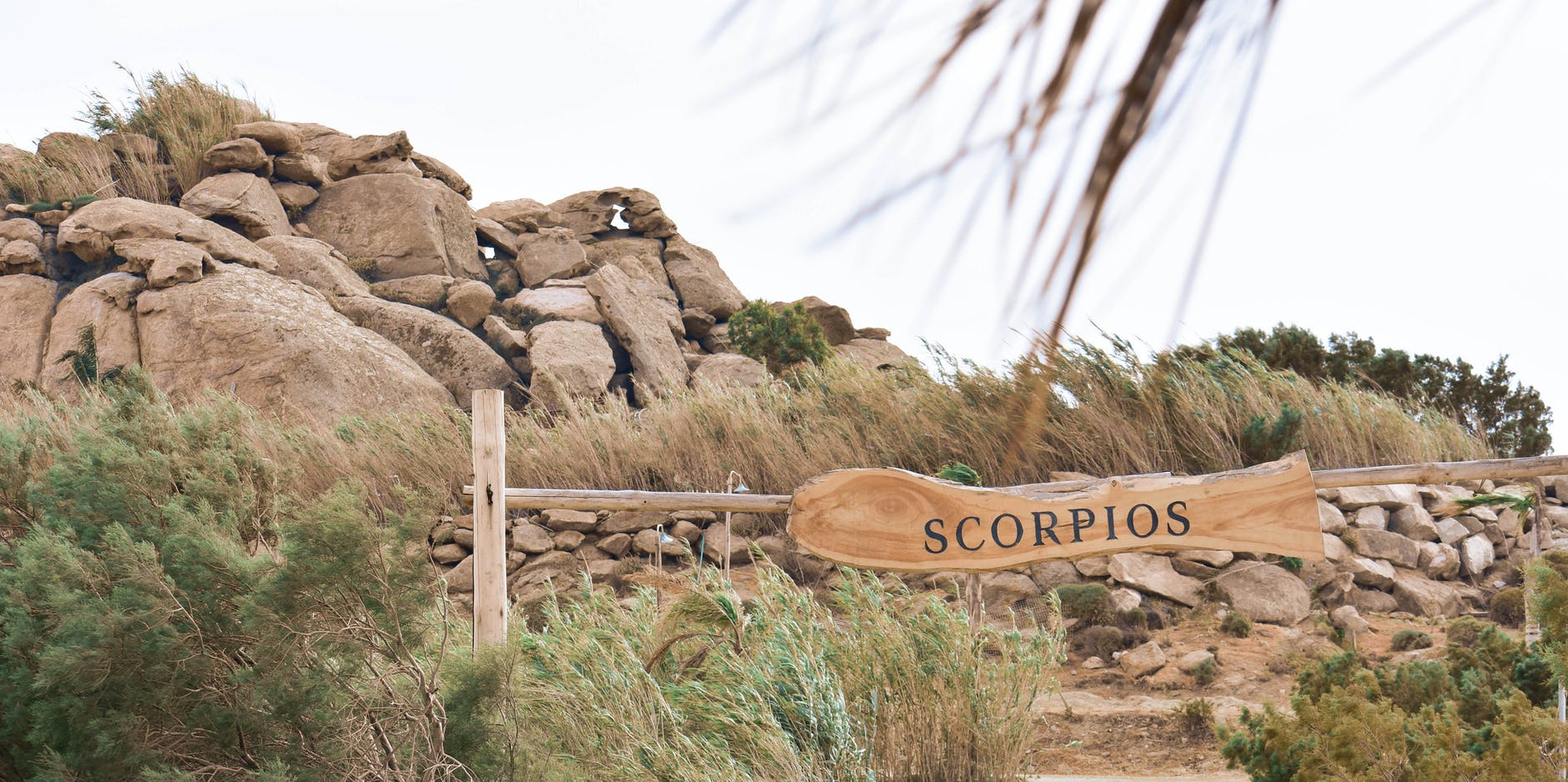 scorpios-beach-club-mykonos | The Townhouse Hotel Mykonos
